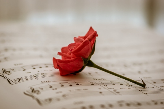 Flower rests on musical score